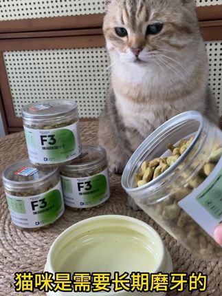 现在谁还给猫咪吃猫草啊,都是直接炫这个猫草饼干#猫薄荷饼干 #俘获猫薄荷饼干 #萌宠好物 #萌宠出道计划 #猫咪