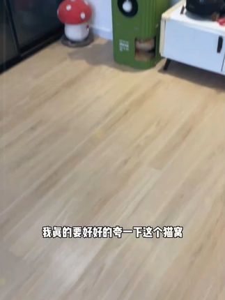 #我可真会买 #猫窝 #猫爬架 #萌宠好物