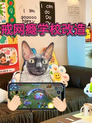那个被你送进戒网瘾学校的孩子,后来怎么样了? #猫meme #戒网瘾学校 #内容过于真实 #猫meme的小金豆 #叛逆期的孩子