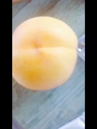 坏果包赔顺丰正宗蒙阴脆甜黄桃新鲜水果应季大果现摘现发孕妇