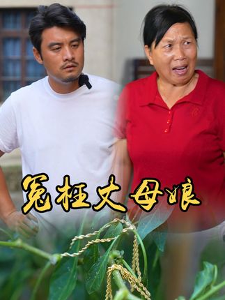 山村小颖和阿斌《上门女婿》