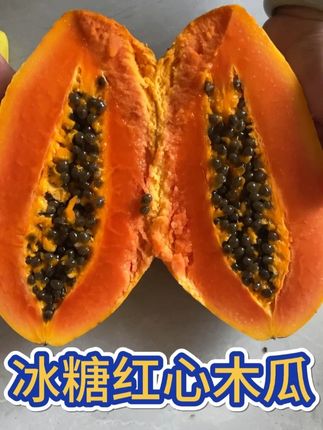 夏天的知音---冰糖红心木瓜,优质的农家产品,舌尖上美味 #冰糖红心木瓜 #木瓜炖牛奶 #优质农产品 #新鲜应季水果