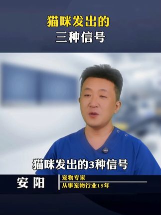猫咪发出的3种求救信号,铲屎官要注意了 #新手养猫 #科学养宠攻略 #宠物维生素