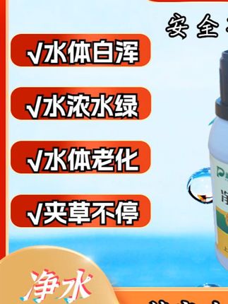 螃蟹塘水浑水浓绿厚一直调不清就直接用净水虾蟹安就行了 #螃蟹养殖# 鱼虾蟹养殖 #水产养殖# 大闸蟹养殖 #水产养殖技术 #螃蟹塘水浑水浓绿厚一直调
