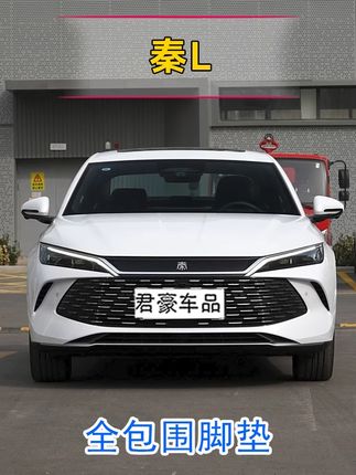 专用于比亚迪秦L脚垫全包围2025款秦LDMI地毯式脚垫内饰 专用于比亚迪秦L脚垫全包围2025款秦LDMI地毯式脚垫内饰同色改装#汽车用品 #秦L #脚垫 @抖音创作小助手 @抖音小助手