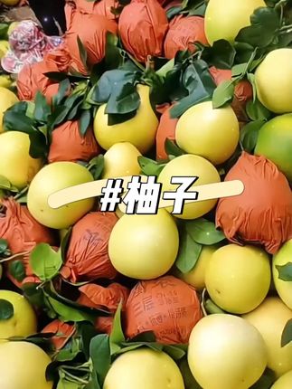 又到了吃柚子的季节,皮薄肉厚,果肉粒粒饱满,汁水充盈!好吃到停不下来! #柚子 #柚子皮 #柚子的营养价值 #柚子柚子切克闹 #应季水果