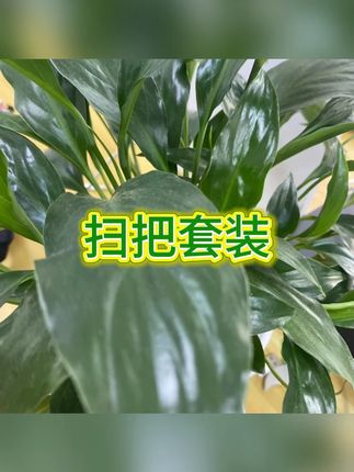 折叠扫把 #磁吸扫地 #软毛扫帚 #耐用三件套 #家务神器 #居家清洁