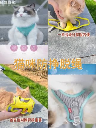 kimpets猫咪牵引绳胸背带,防挣脱设计,适合春夏带猫外出,狗狗也能用,出行更安心。 #防挣脱 #胸背带 #遛猫 #牵引绳 #猫咪牵引绳