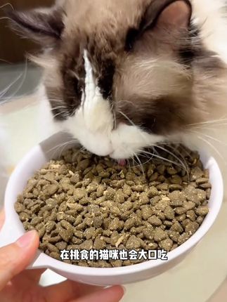 平时贵贵的薅麦富迪乳铁蛋白猫粮也有羊毛可以薅了,12块9到手5包#萌宠好物 #麦富迪 #麦富迪猫粮 #猫粮 #猫粮推荐