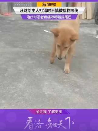 #高品质童装 #好看的衣服都在这里 #面料舒适透气