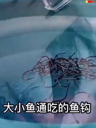 BKK4S冷钢棱鱼钩大包装,多种型号,钓鲫鲤超实用! #有刺无刺钩 #伊豆鱼钩 #伊势尼鱼钩 #钓鲫鱼鲤鱼 #钓鱼必备