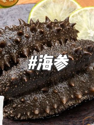 海天下即食海参500g4-7头#海参 #即食海参 #好吃海参 #视频同款 #好物推荐