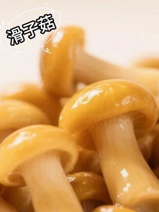 高山清水滑子菇,滑菇非盐泡.无泥无沙开袋即烹高山蔬菜原产地直 #滑子菇