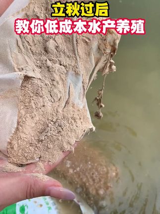 #水产 #水产养殖 #水产人 #水产技术 #水产饲料
