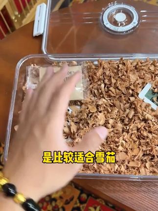 茄友们快给心爱的茄子安排上!好看又实用!#雪茄生活  #雪茄养护  #雪茄盒  #雪茄保湿盒