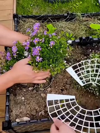 草莓花支架子托盘园艺用品家庭种植架太阳花盆栽苗防腐烂果实支撑#家庭园艺 #草莓花支架 #盆栽支撑 #园艺用品 #种植架