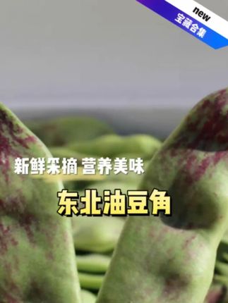 东北油豆角一点红软糯无筋开锅就烂炖排骨炖土豆嘎嘎好吃 #油豆角 #东北特产 #优质农产品 #新鲜蔬菜 #谁懂这一口的好吃程度