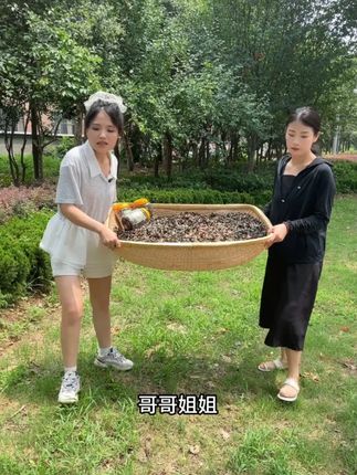 超2千人回购#紫菜虾皮汤 #馄饨汤料包 #紫菜蛋花汤 #紫菜 #虾皮