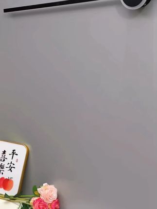 【手工鸡翅木升级加厚】四排大号刷子家用长柄床刷除尘大号神器扫炕#床刷 #鸡翅木床刷 #大号床刷 #除尘神器 #家用清洁