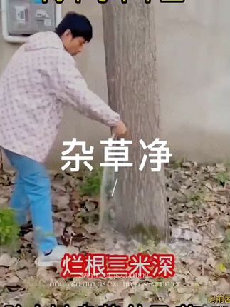 为杂草的烦人?选用环嗪酮吧! #除杂草 #除大树 #除灌木 #环嗪酮除大树竹子灌木杂草
