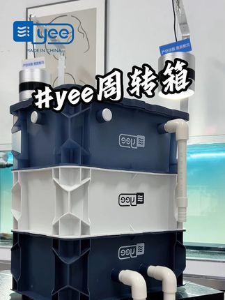 鱼缸水质浑浊不干净,一定要试试他 #水族 #周转箱过滤 #yee #鱼缸 #空气缸