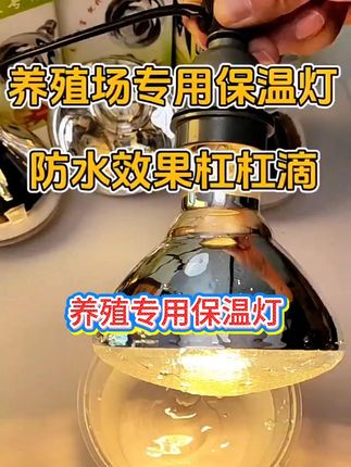 养殖保温灯鸡苗保暖猪用适用加热取暖灯防水防爆小鸡仔猪节能耐用#养殖保温灯鸡