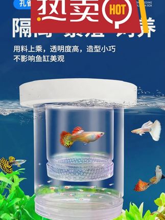 孔雀鱼新款隔离悬浮幼鱼产房鱼苗悬浮式漂浮孵化悬浮隔离盒孵化盒 #孵化盒 #促进孵化 #宠物孵化工具 #孵化环境 #孵化用品