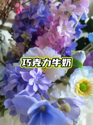 【每人1箱】巧克力牛奶200ml*10盒醇厚浓郁奶茶平替便携装高颜值