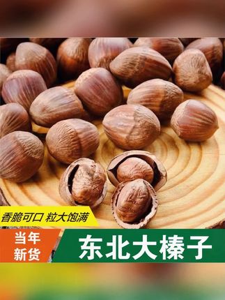 懂榛帝东北大榛子当季新货坚果榛子东北榛子炒熟#坚果 #大榛子 #东北大榛子 #坚果榛子 #零食推荐