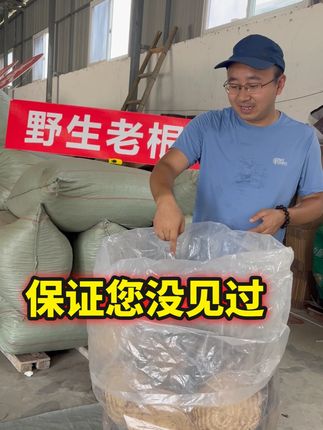 这么老,这么大的葛根,您见过吗? 叔叔爷爷们跑遍了多少的山头, 费老大劲才找到这么点。每一根都来之不易,都是 可遇不可求的‘大家伙’!才真正称得上‘难得’!”#秦岭野生老葛根 #老葛根 #老茶