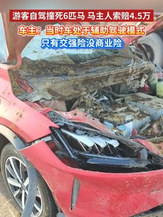 游客自驾撞死6匹马 马主人索赔4.5万,车主:当时车处于辅助驾驶模式,只有交强险没商业险