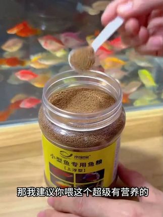 小型鱼专用鱼粮孔雀鱼饲料上浮小颗粒金鱼天使鱼热带鱼通用鱼食 #鱼粮 #鱼食 #鱼饲料