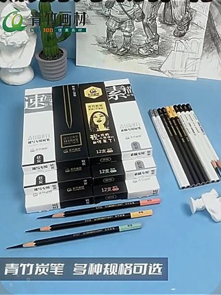 青竹画材流光白炭笔美术生专用速写笔软炭中硬碳笔素描工具套装绘画初学者学生考试专业画画特软炭笔青竹旗舰  #学生党必备 #学习用品 #文具安利