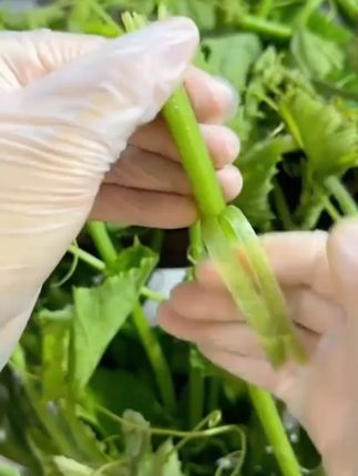 一次性PVC薄加长手套女卫生洗头发廊专用透明软防水家务餐饮美容#一次性手套 #女士专用 #防水手套 #家务好物 #美容用品