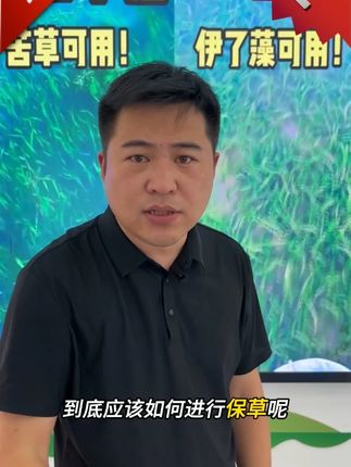 8月高温期过后,水草管理和高温保草工作一定要做到位,因为这个关乎着最终的养殖收益#水产养殖 #虾蟹养殖 #大闸蟹养殖 #伊乐草