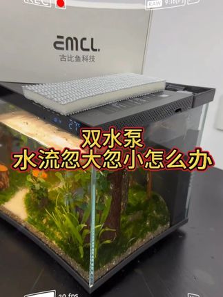 小米鱼缸加强版水泵 装上过滤效果杠杠的#养鱼 #小米鱼缸 #养鱼日记 #小米鱼缸水泵升级