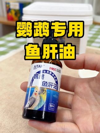 每天都想吃上几口鱼肝油的六六#鱼肝油 #鹦鹉专用鱼肝油 #鹦鹉 #鹦鹉用品