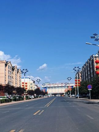 城子河特产,天儿越来越冷了、你有没有想念这口家乡的味道呢?#东北酸菜 #家乡味道