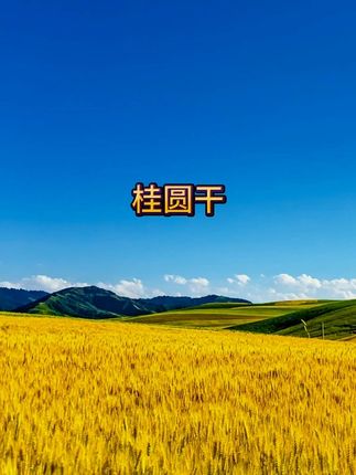 【2025新货桂圆干】精选大果核小肉厚新鲜饱满可泡茶煲汤煮粥即食