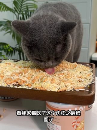 吃粮喂水的时候来上一勺猫咪狗狗会更爱吃,轻松拿捏挑食怪! #萌宠好物 #猫零食 #新手养猫 #科学养宠攻略