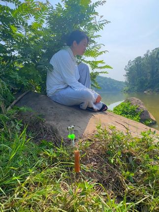 看看等铃铛一响就上鱼 #野钓 #钓鱼的乐趣只有钓鱼人懂 #野钓随时有惊喜