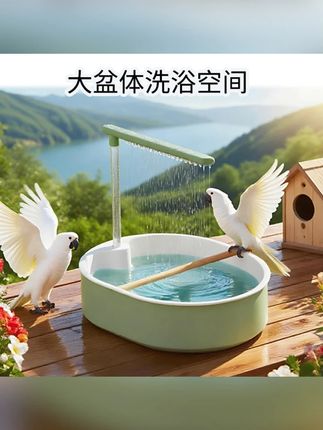 鹦鹉鸟类洗澡神器自动水循环外置洗澡盆虎皮牡丹玄凤专用淋浴#鹦鹉洗澡盆 #鹦鹉盆 #鹦鹉淋浴盆 #小鸟洗澡盆 #鸟类洗澡