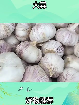 紫白皮王太蒜,皮薄容易剥,辛辣味浓郁,蒜香味十足#大蒜 #超值好物省心选 #划算