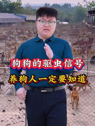 狗狗的驱虫信号,养狗人一定要知道 #新手养狗 #养狗小知识 #科学养宠攻略 #狗狗驱虫 #狗狗驱虫大作战