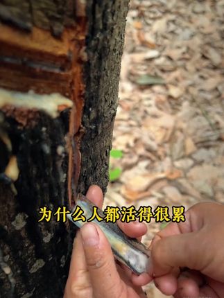 这才是孩子爱看的漫画书《漫画版天机》,教会孩子解决生活当中遇到的问题#教育孩子 #育儿 #为人处世