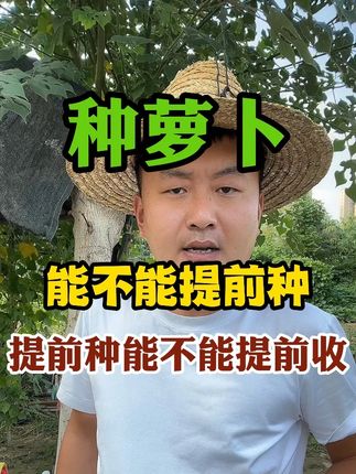 种萝卜能不能提前种提前种能不能提前收 #萝卜种植 #种植小技巧 #传播农业小知识 #分享农业知识帮农民增产增收