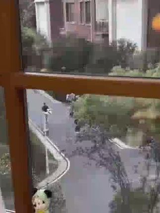 衣架子落地式挂衣服架子卧室晾衣架室内落地衣架出租屋简易衣帽架