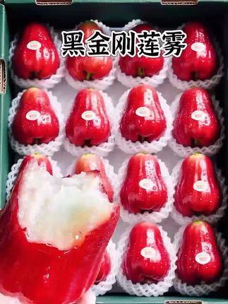 我敢说你们一定没有吃过这么好吃的莲雾,它就是来自海南的黑金刚莲雾,它的口感跟你们平时吃的完全不一样,吃起来清甜爽口,而且非常鲜嫩多汁,咬上一口真的特别过瘾,满满的汁水简直不要太爽了!如果你还没有尝试过这种美味的水果,那就赶紧买来尝一尝吧!#莲雾 #好吃到停不下来 #快来一起尝个鲜 #应季水果 #新鲜应季水果