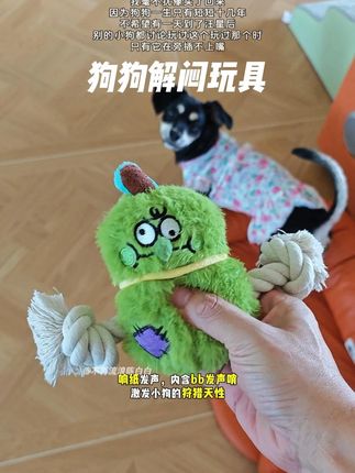 不仅仅是玩具,更多的是对毛孩子的一种陪伴! #狗狗玩具 #宠物玩具 #养宠进阶指南 #狗狗解闷玩具 #养狗经验分享