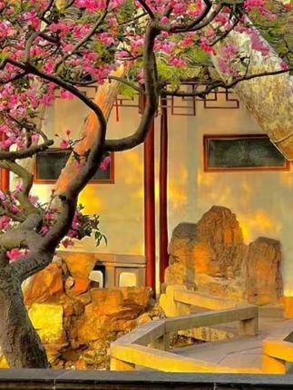 【好物推荐】宜可娜果醋精华去油洗洁精家庭装温和不伤手洗果蔬餐具